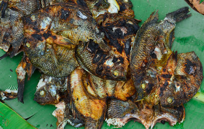 High angle view of fish for sale at market
