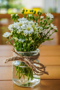 Close-up of potted plant on table