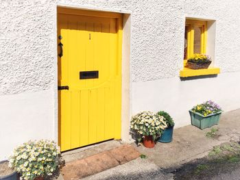 Potted plants on wall