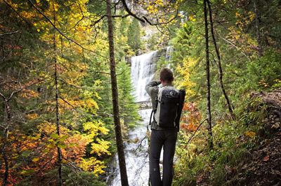 Rear view of man hiking in forest