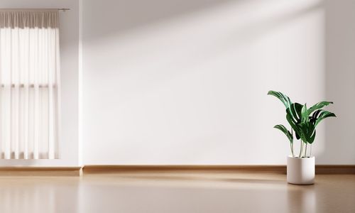 Close-up of potted plant on table at home