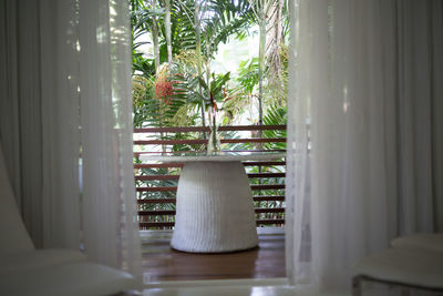 Potted plants on window sill