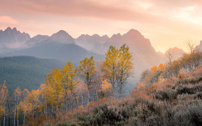 Scenic view of tree mountains against sky during sunset