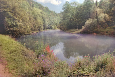 Vranov lake surrounded by lush foliage