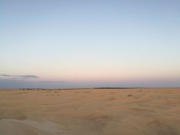 Scenic view of beach against clear sky