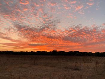 Scenic view of field against sky during sunset