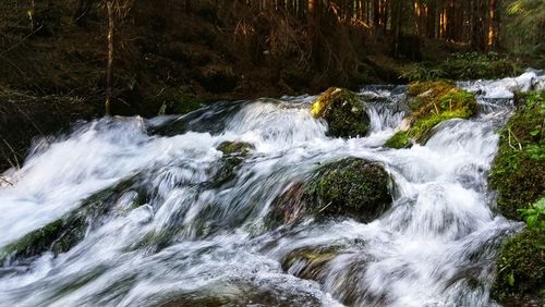 Stream flowing through rocks in forest