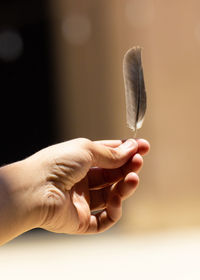 hand