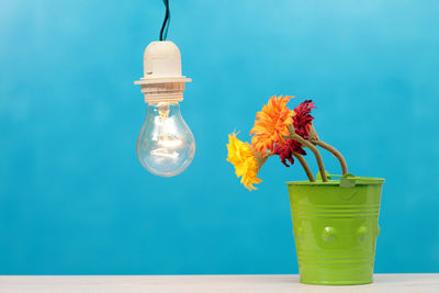 Close-up of light bulbs in vase on table