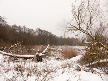 Scenic view of lake against clear sky during winter