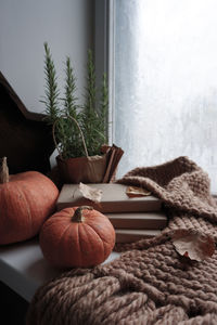 On the windowsill there is a warm scarf and ripe pumpkins