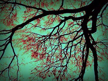 Low angle view of bare trees against sky