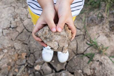 Close-up of hand holding crab on rock