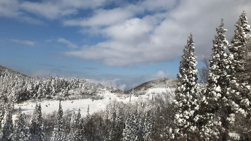 Snow covered land against sky