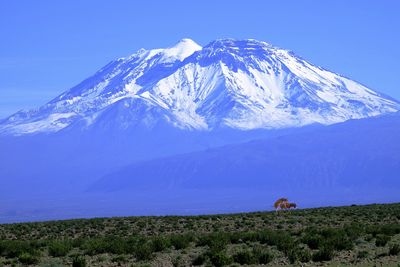 Scenic view of snowcapped mountains against blue sky