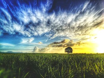 Scenic view of field against sky during sunset