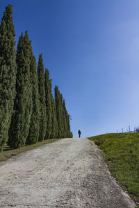 Road amidst trees against clear blue sky