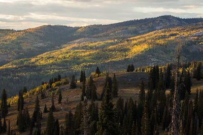 Panoramic view of landscape against sky