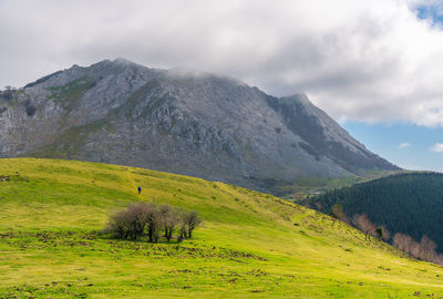 View of green landscape with mountain range in background