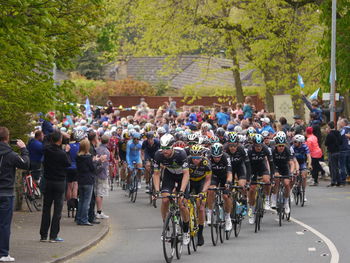 People riding bicycles on road