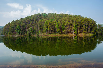 Scenic view of lake by trees against sky