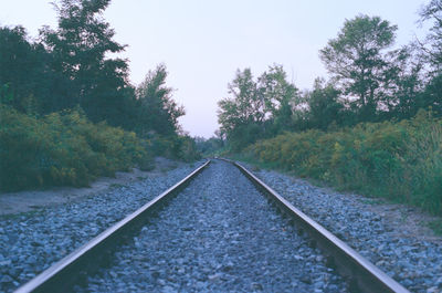 Surface level of railroad track amidst trees against clear sky