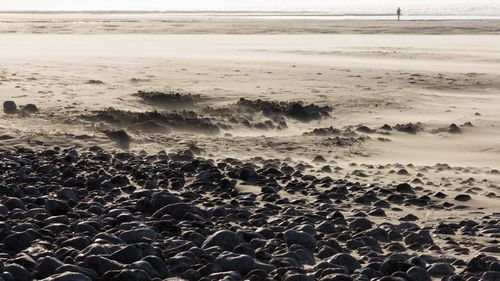 High angle view of pebbles on beach against sky