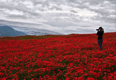 Woman photographing while standing amidst red flowers on field against cloudy sky