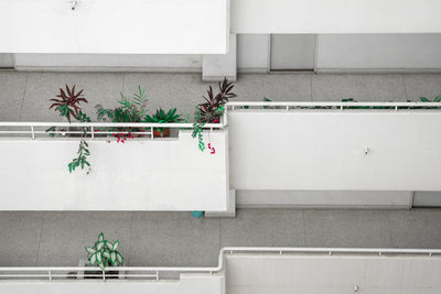 Potted plants against wall at home