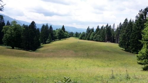 Scenic view of green landscape against sky