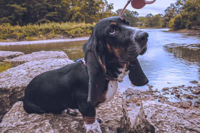 At the creek