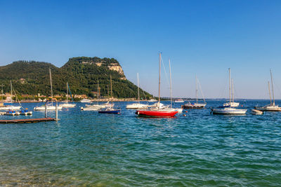 Sailboats moored in marina