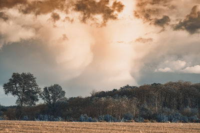 Scenic view of field against sky during sunset