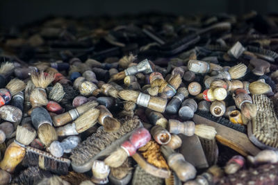 High angle view of shells on table