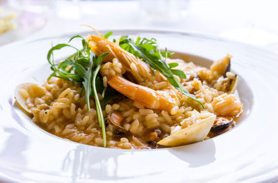 Close-up of risotto in plate