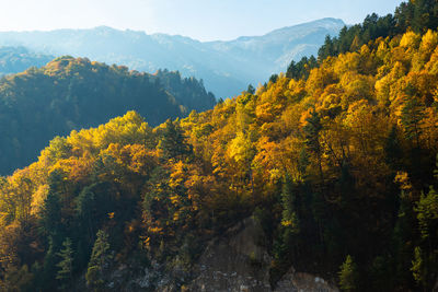 Autumn in the mountains of chechnya in the caucasus