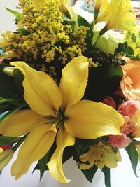 Close-up of yellow flowers