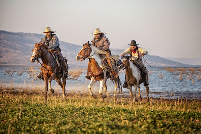 Men riding horses on grass against lake and sky