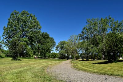 Walking path through park