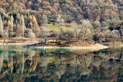 Scenic view of trees on landscape