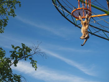 Low angle view of basketball hoop against sky