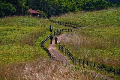 Footpath in field