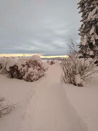 Scenic view of snow covered land against sky