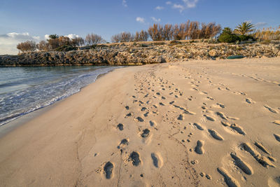 Scenic view of beach against sky