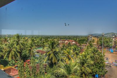 Scenic view of plants against clear sky