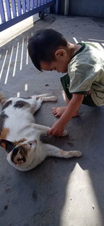 A baby boy playing with a cat