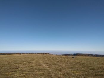 Scenic view of field against clear blue sky