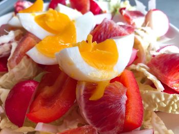 Close-up of fruits served in plate