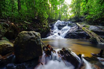 Scenic view of waterfall in forest