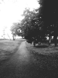 Road passing through trees